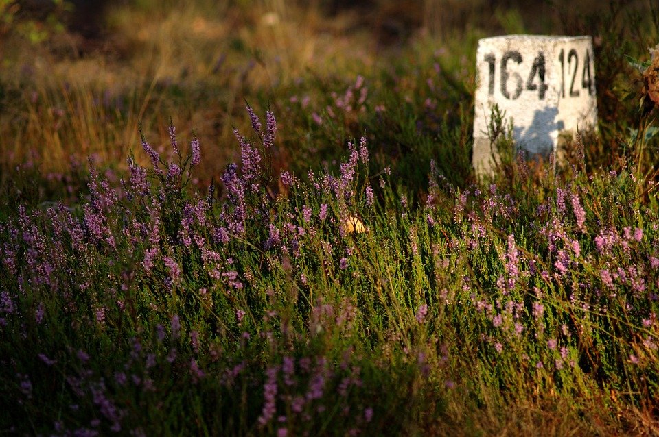 What Does The Number 12 In The Bible Mean