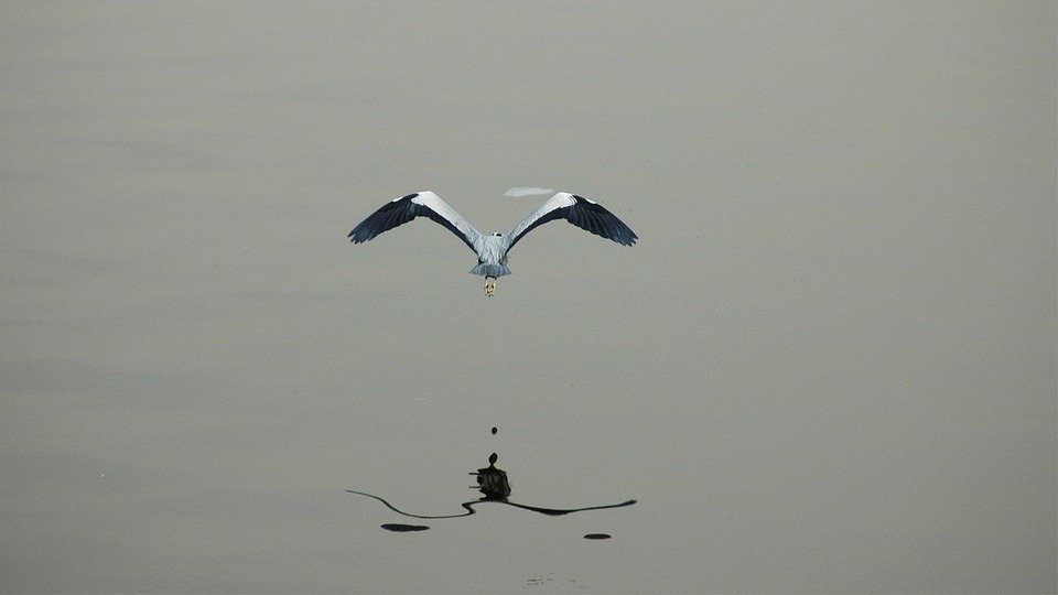 What Does The Number 20 Mean