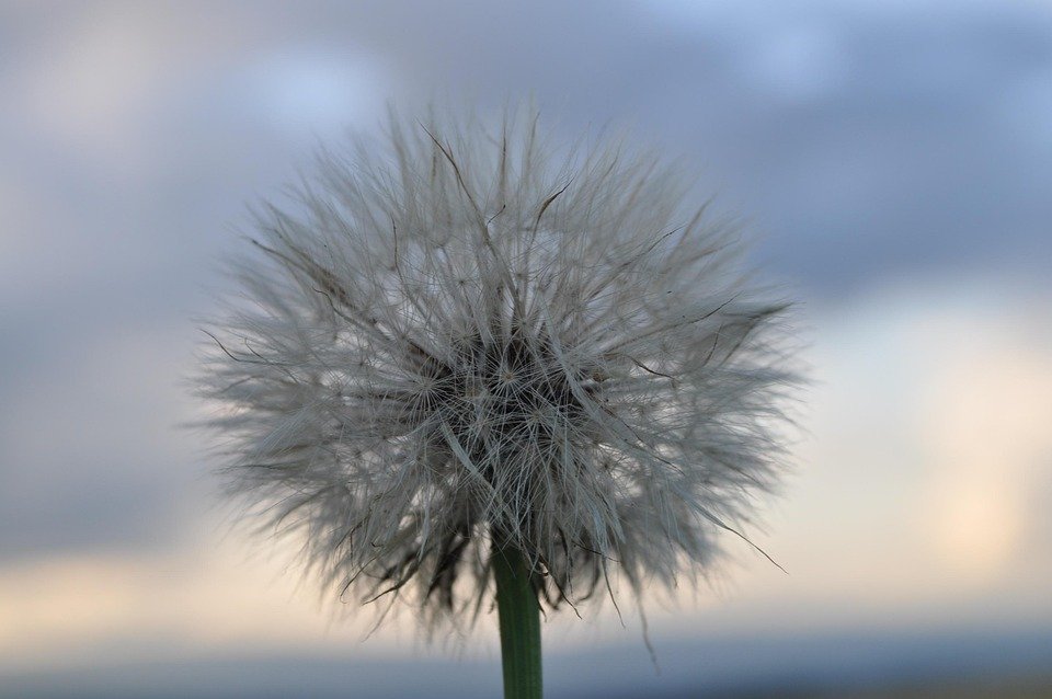 What Does The Number 21 Mean In The Bible