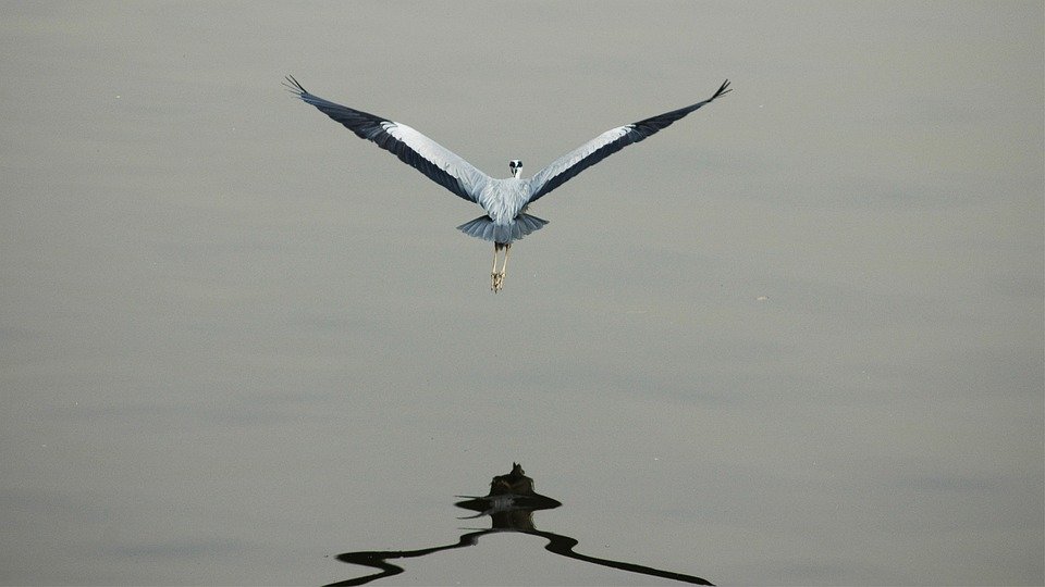 What Does The Number 22 Mean Spiritually