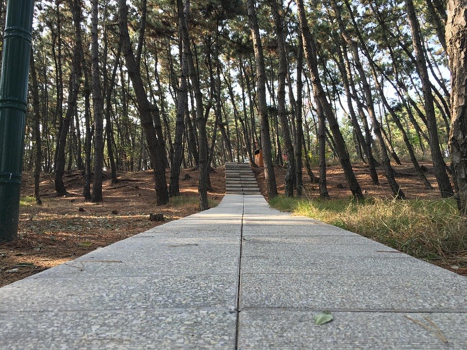 What Does The Number 88 Mean