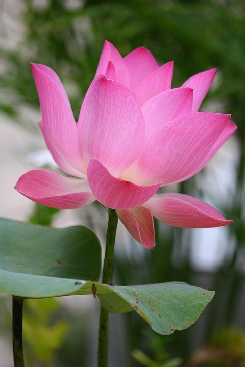 What Is The Meaning Of Angel Number 444