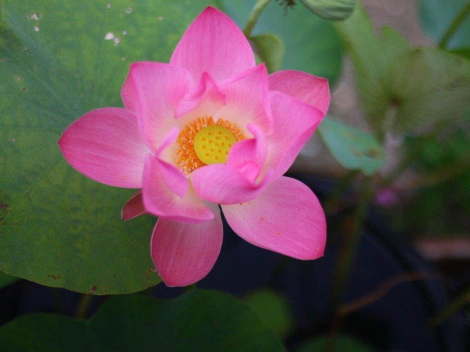 What Is The Meaning Of The Number 333